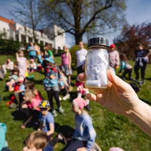 Environmentální výchova v roce 2025