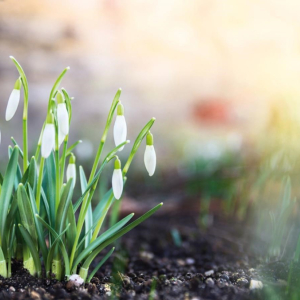 Jarní prázdniny s Déčkem